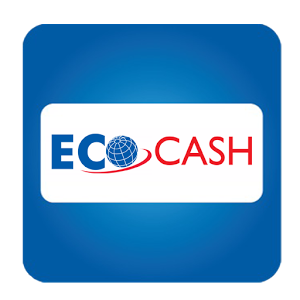 Ecocash Payment